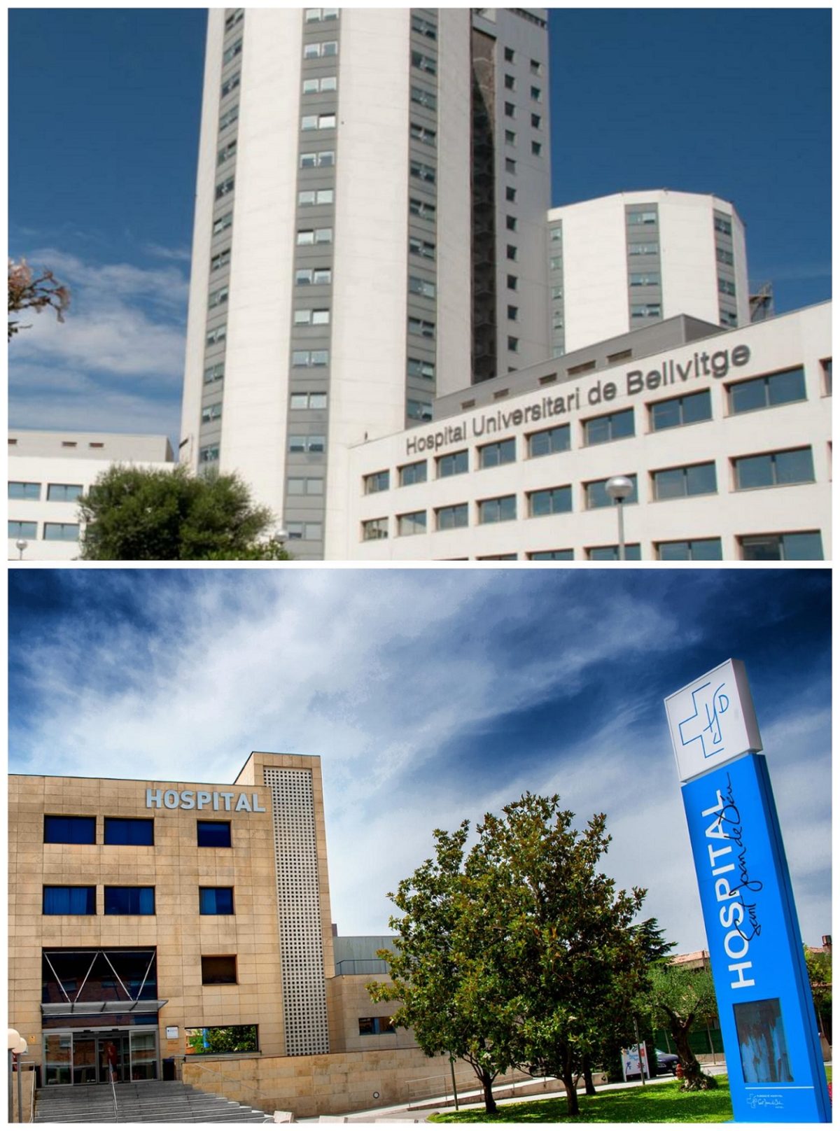 Hospital Bellvitge i FHSHDM