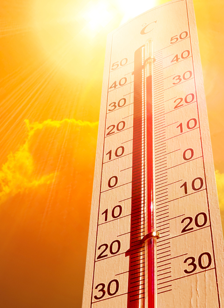 Onada de calor 2024 FHSJDM