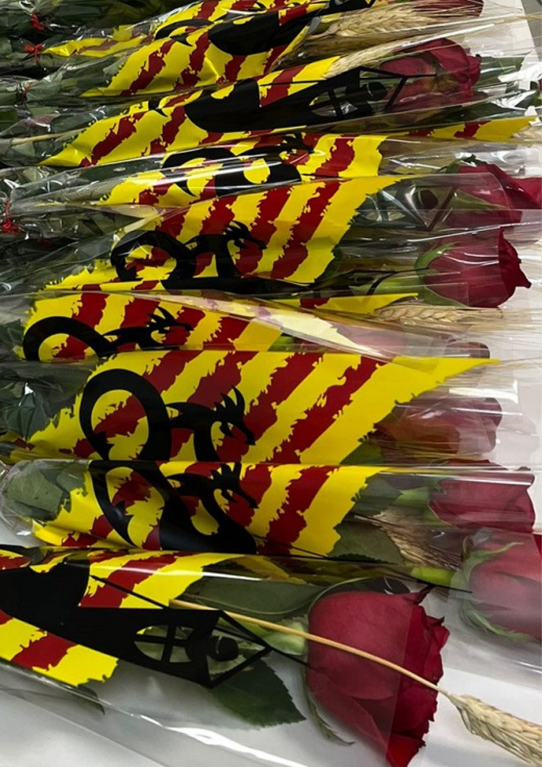 Sant Jordi 2023 FHSJDM