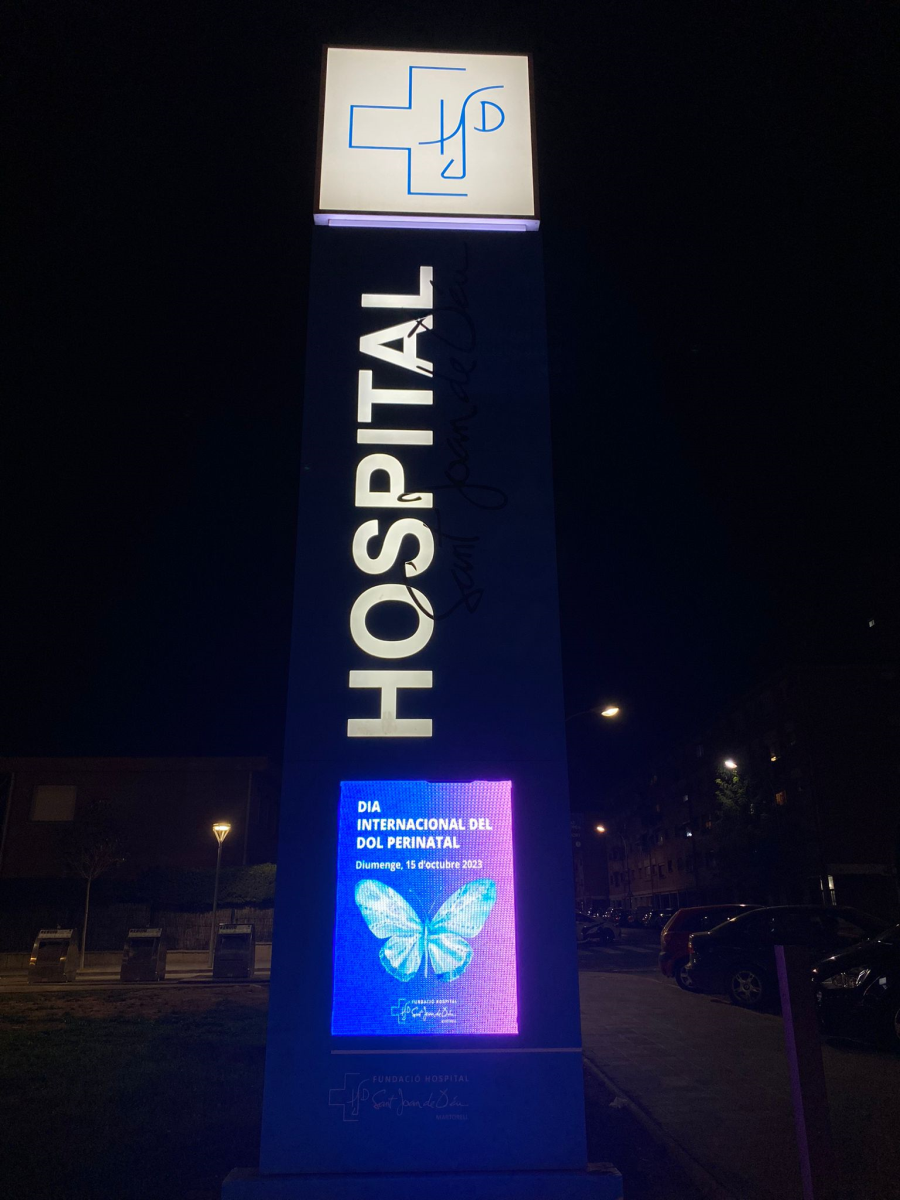 Totem FHSJDM Dol Perinatal